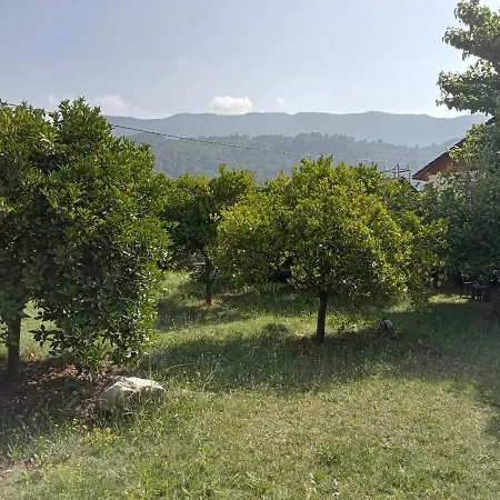 Apartment With Access To A Large Garden Near Kemer